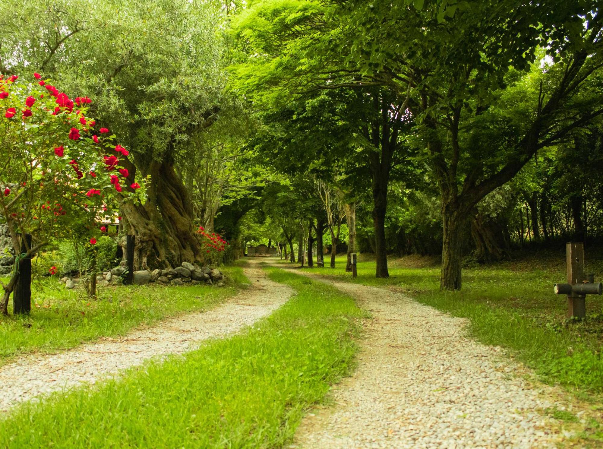 Ciclopark Morano Calabro Villa Eksteriør bilde